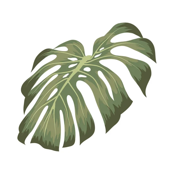 Cool monstera icon — стоковый вектор