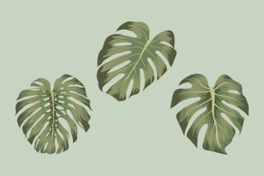 Üç güzel canavar.