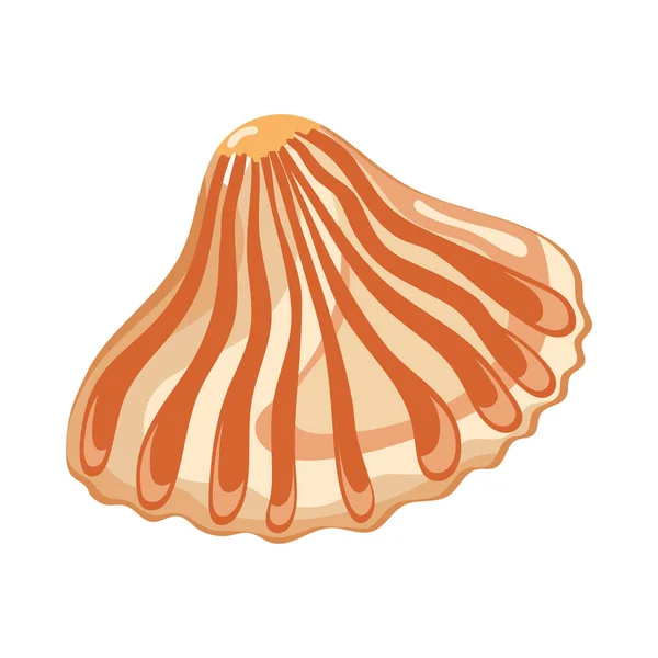 Oranje zee schelp — Stockvector