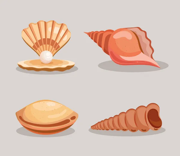 Conchas de mar cuatro iconos — Vector de stock