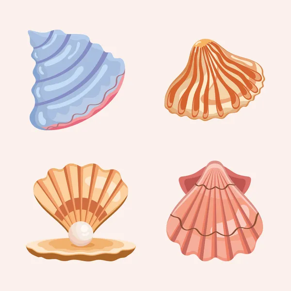 Cuatro conchas de mar iconos — Vector de stock