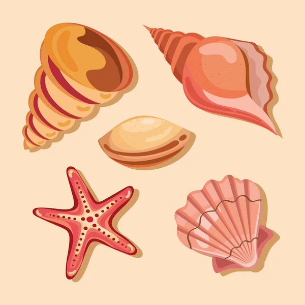 Cinco ícones de conchas do mar — Vetor de Stock