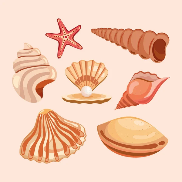 Siete conchas de mar iconos — Vector de stock