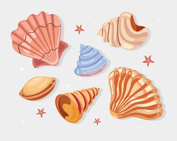 Diez conchas de mar iconos — Vector de stock