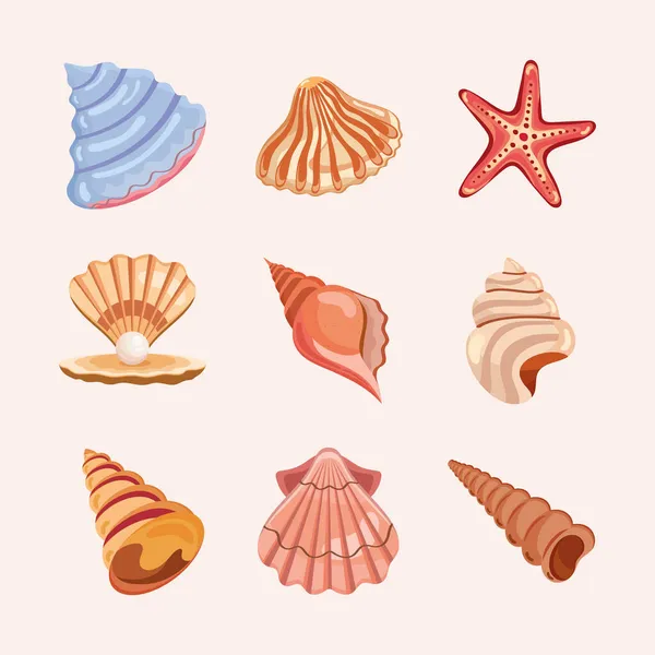 Nine sea shells icons — Stock Vector