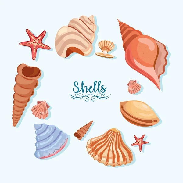 Doce conchas de mar iconos — Vector de stock