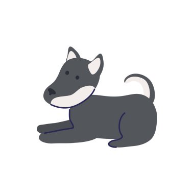 Şirin köpek oturmuş.