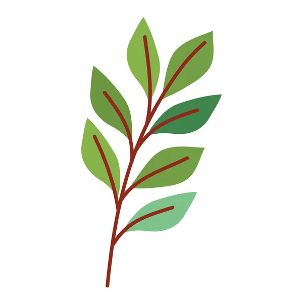 Zweig mit Blättern Natur — Stockvektor