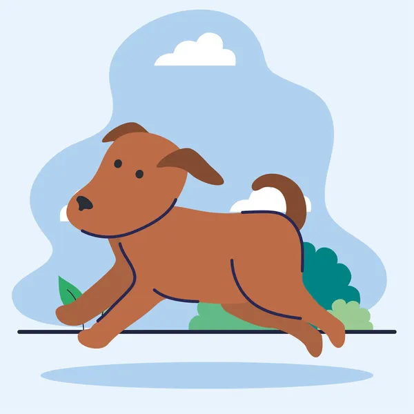 Dog running in outdoor — Stock Vector