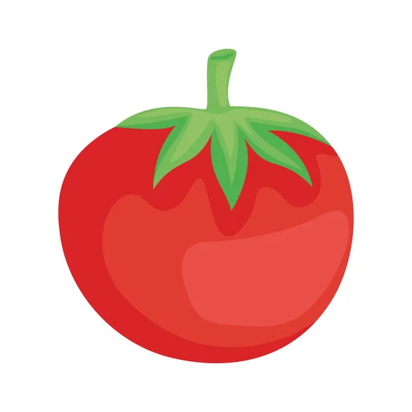 Färska tomatgrönsaker — Stock vektor