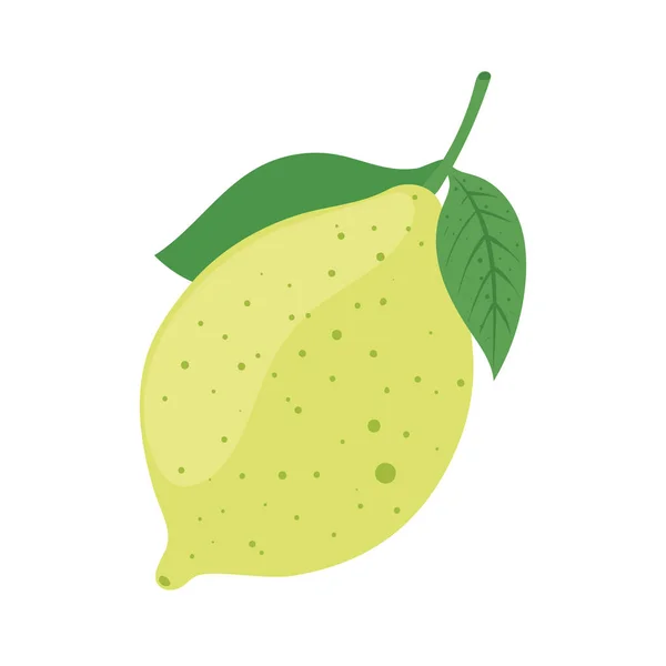 Citrinos de limão — Vetor de Stock