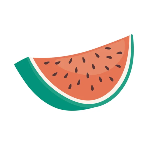 Slice of watermelon — Stock Vector