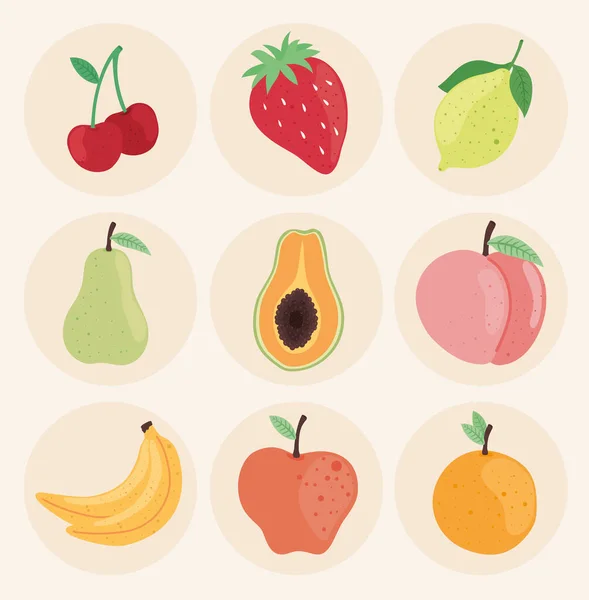 Φρούτα νόστιμα φρέσκα — Διανυσματικό Αρχείο