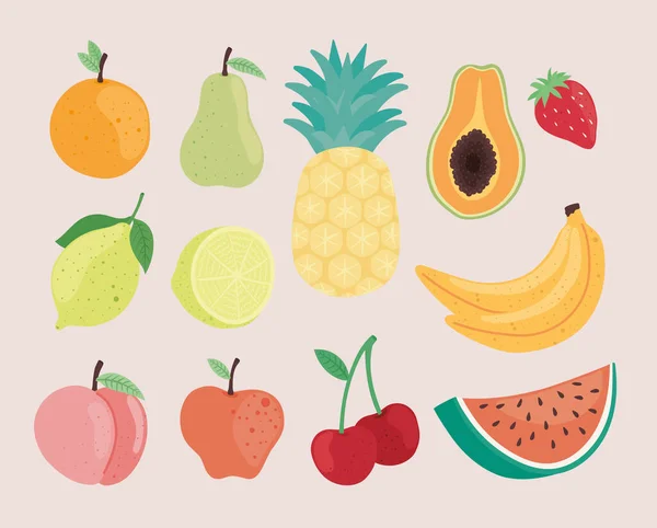 Läckra och färska frukter — Stock vektor