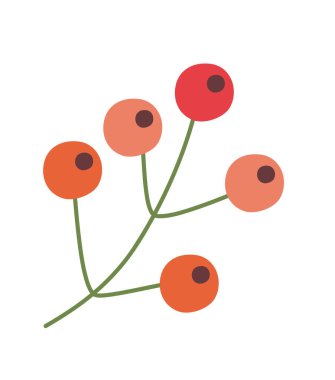 Yılbaşı tohumları dalda