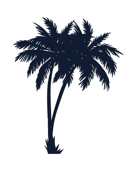 Palms tropical plants — Stock Vector
