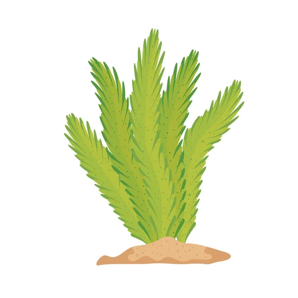 Φύκια πράσινο φυτό — Διανυσματικό Αρχείο