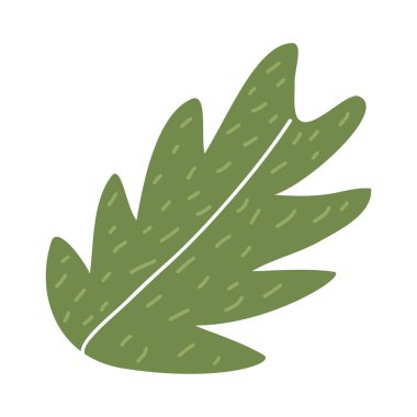 yeşil yaprak bitkisi