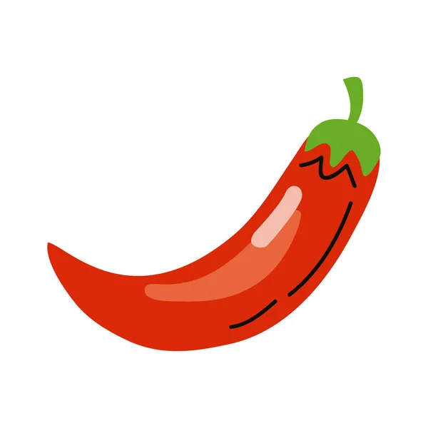 Vörös chili paprika — Stock Vector