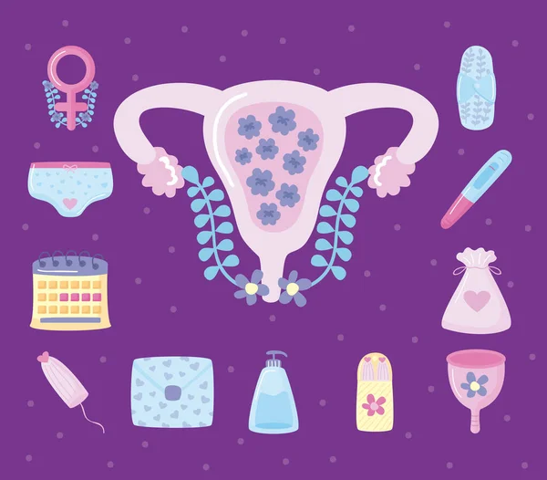 Tizenkét menstruációs időszak elemei — Stock Vector