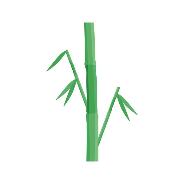 Icona della pianta di bambù — Vettoriale Stock