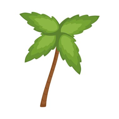 palmiye ağaç doğa