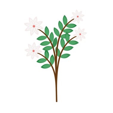 Yaprakları ve beyaz çiçekleri olan dal