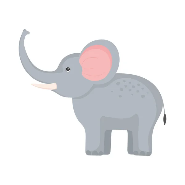 Elefante animal exótico — Vector de stock