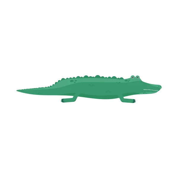 Krokodil exotisches Tier — Stockvektor