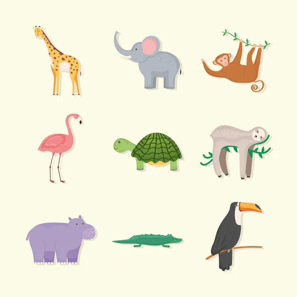 Wildlife animals exotic — Stock Vector