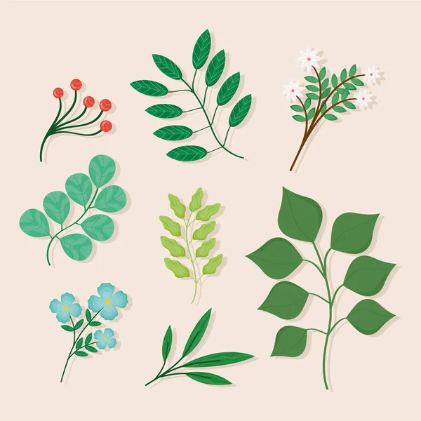 Branches avec feuilles — Image vectorielle