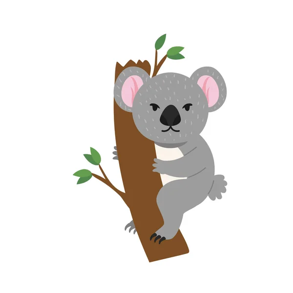 Koala Avustralyalı hayvan — Stok Vektör