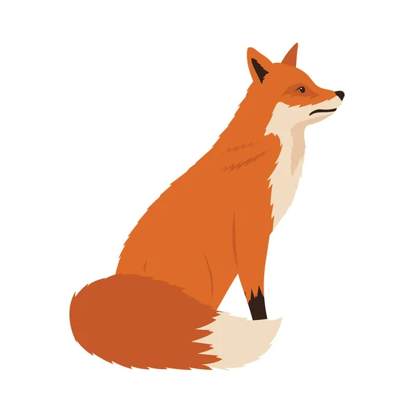 Άγρια αλεπού — Διανυσματικό Αρχείο