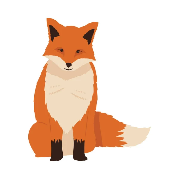 Divoká liška sedí — Stockový vektor