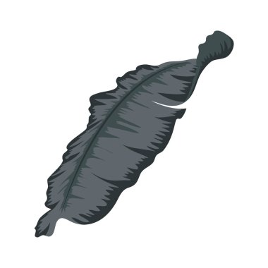 Zarif yaprak bitkisi