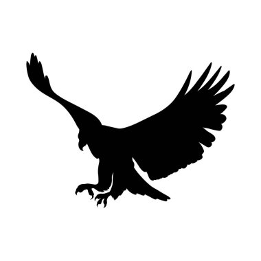 vahşi kartal silueti