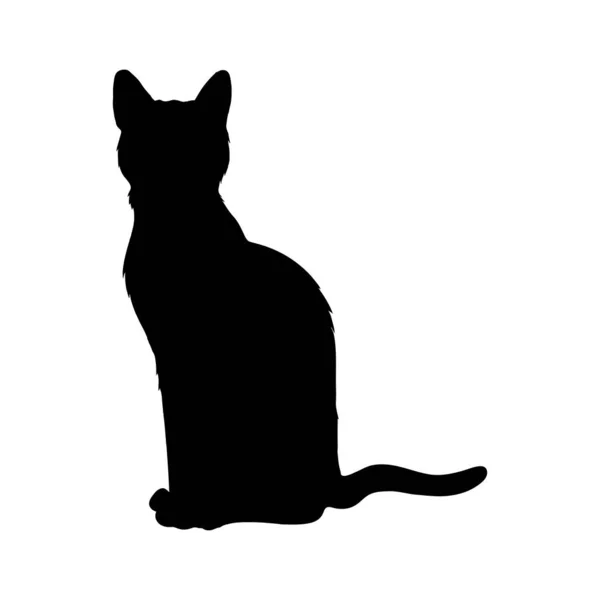 Silueta černé kočky — Stockový vektor