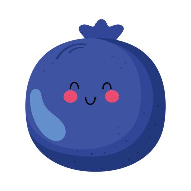 blueberry delicious fruit