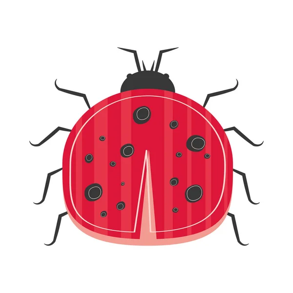 Ladybug insect scandinavian — Stock Vector