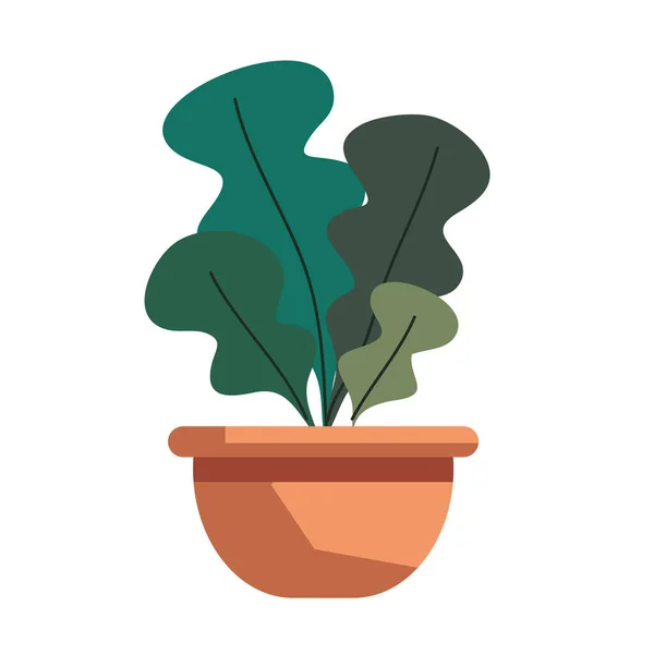 Saksıda bitki — Stok Vektör