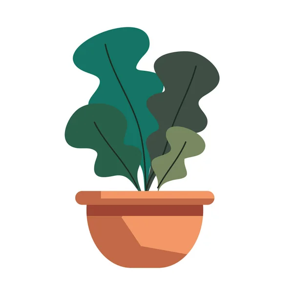 Plant in pot — Stock Vector