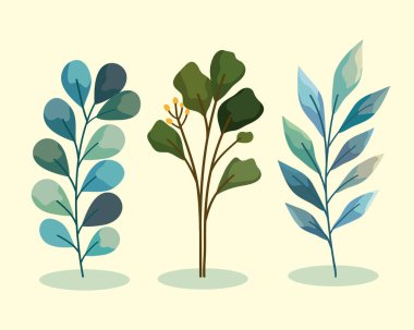 three watercolor nature branches