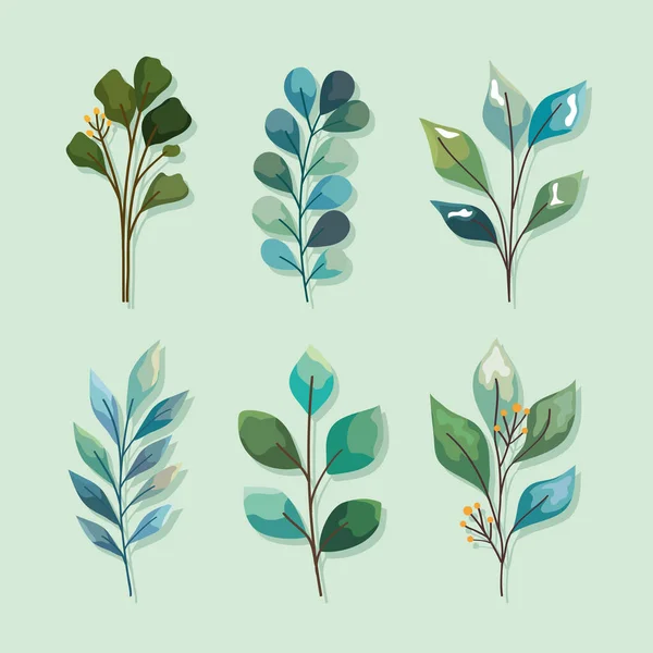 Six watercolor nature branches — Wektor stockowy