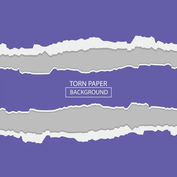 紫色の破れた紙のポスター — ストックベクタ