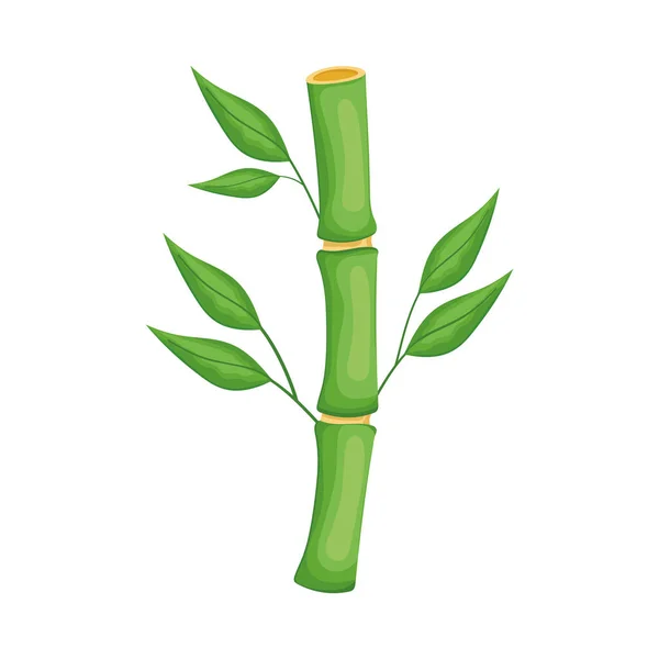 Chinese bamboo plant — Vettoriale Stock