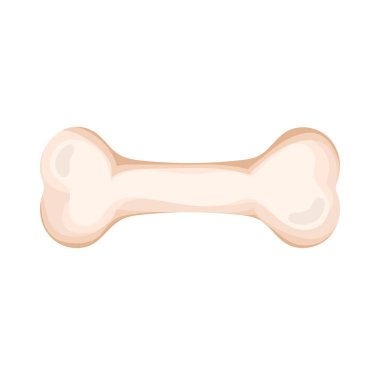 kemik hayvan aksesuarı