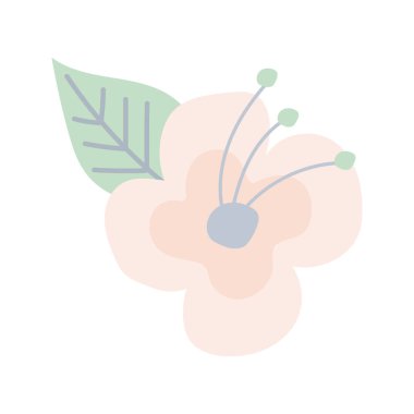 sevimli pembe çiçekler