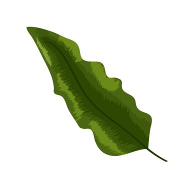 Yeşil palmiye yaprağı