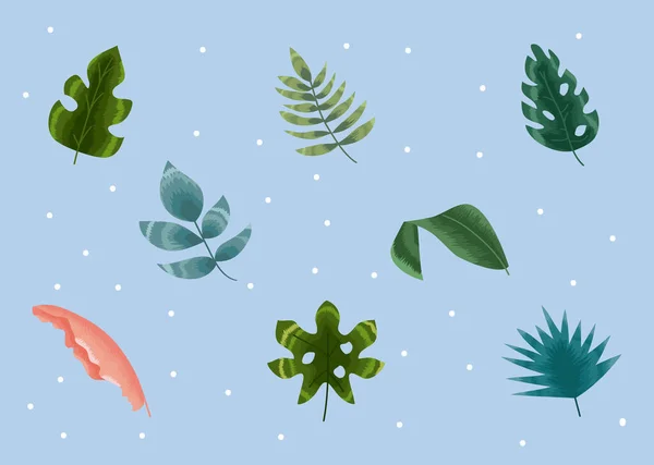 Acht Ikonen der tropischen Blätter — Stockvektor