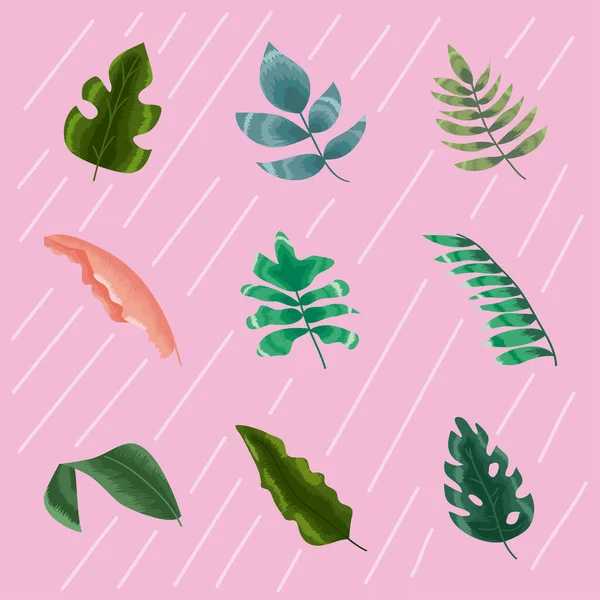 Nove icone di foglie tropicali — Vettoriale Stock